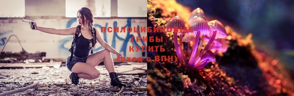 первитин Козельск