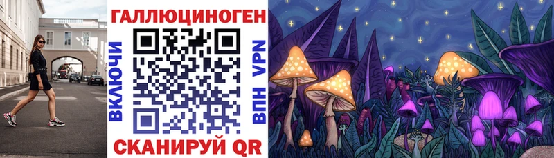 Купить  Челябинск  Галлюциногенные грибы MAGIC MUSHROOMS 